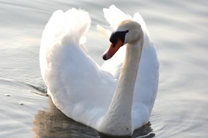 Ornate pub sign with a traditional brewer illustration. This alt text was added with Al; accuracy may vary.