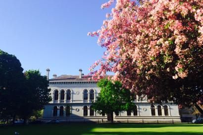 Sunset over calm sea with silhouetted towers on the horizon.

Historic building with blooming pink tree in foreground. This alt text was added with Al; accuracy may vary.