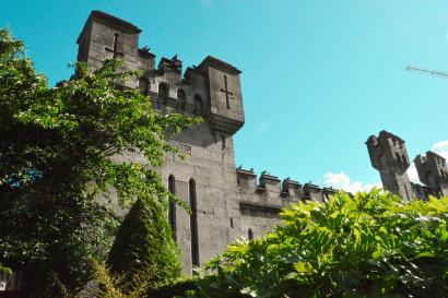 Dublin Castle, from the gardens