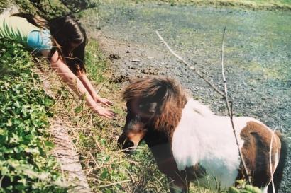 Ten years ago, one of my desired things - pictures with every animal.