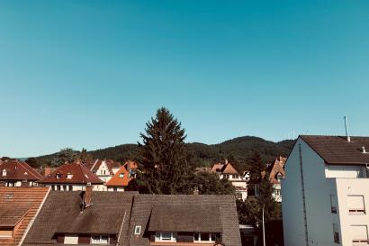 Missing my Freiburg Apartment View