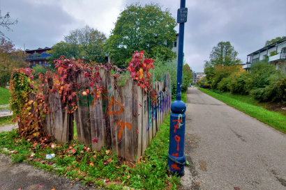 Colorful Leaves on a Fence in Vauban 