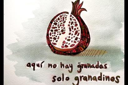 aquí no hay granadas solo granadinos, granada, study abroad, pomegranate