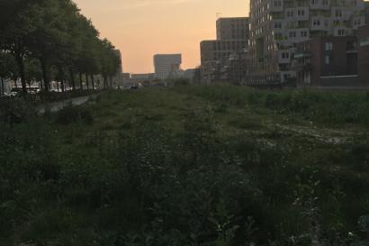 amsterdam skyline at dusk