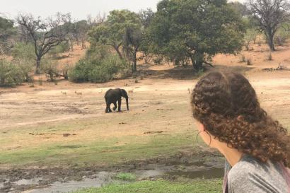 Me looking at an elephant