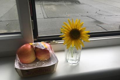 Sunflower and Apple 