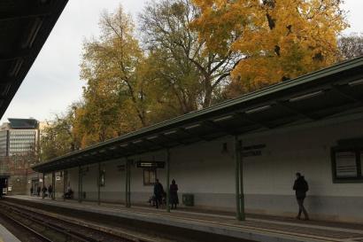 Autumn, Trees, Stadtpark