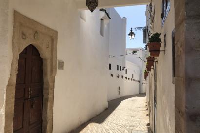 A street in the Rabat Medina lined with flowerpots