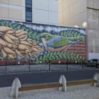 Large mural featuring a green New Zealand bird with a striking silver ring around its eye, sitting amongst some green and brown plants.