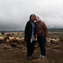 Two girls standing in front of a heard of sheep