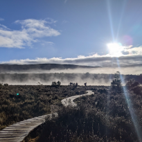 A boardwalk stretches out across a marsh, with mist rising from the ground and the rising sun in the background. 