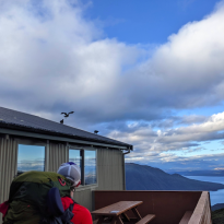 A person watches as three Kea (alpine parrots) fly and climb along the roof of a hut. 