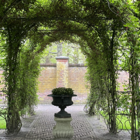Topiary in the walled garden