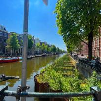 Shot of an Amsterdam canal and greenery surrounding it 