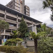 A large concrete multistory building with ferns and palms in front of it