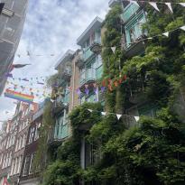 shot of a street in Amsterdam with rainbow triangle flags for Pride