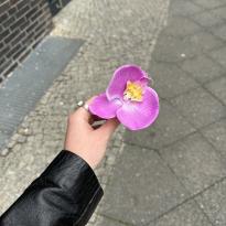 an artificial orchid flower held in hand