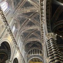 Photo of the ceiling in the duomo in Siena 