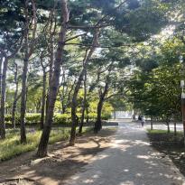 Image of trees and walkways at park 