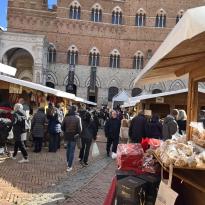 Photo of the booths at the Siena Christmas market 