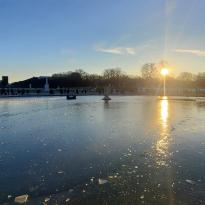 The Luxembourg pond frozen over with the sun shining down on it.