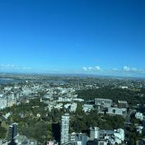 This photo shows what the buildings look like from the Sky Tower, showcasing several buildings and dispersed tree cover in Auckland.