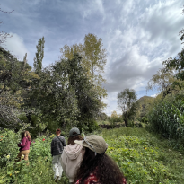 A group of IES students taking a tour of the Lamas' family garden