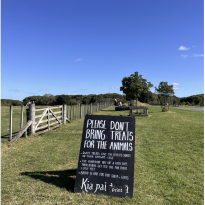 A black sign that says, "Please don't bring treats for the animals," and "sweet treats give the horses sores on their waewae - legs," as well as, "the kunekune are on a keto diet. their bodies get too big for their little feet" and "bread is bad for our sheep and goats." At the bottom of the sign, Kia pai to rā, is written. Behind the sign, there a few trees and a fence. 
