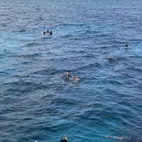 Two friends snorkeling in the Great Barrier Reef 