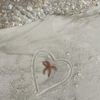 Image of a Starfish in the sand at Boulders Beach, there is a heart drawn around the starfish in the sand. 