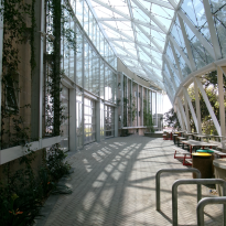 picture depicting the outside area of HPI d-school building. These are tables with seating, and a window-roof letting in natural light. 