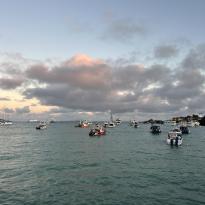 boats in the harbor at Santa Cruz