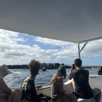 boat ride to snorkeling at Tintoreras