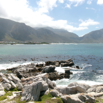 Coast at the Stony Point Penguin Colony, mountains in the distance. 
