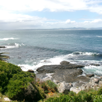 Hermanus sea-side. 