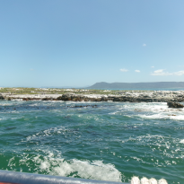 Pictured here is Dyer Island home to the protected African Penguin species. 