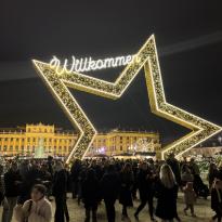 Photo of Schonbrunn Christmas Market
