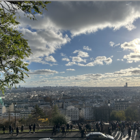 view of Paris