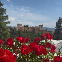 The Alhambra framed by roses