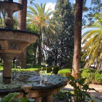 A garden in the Carmen de los Martires