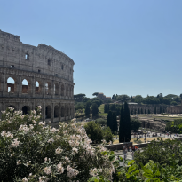The famous Colosseum in Rome with its surrounding landscape of flowers, hills, trees, and tourists.