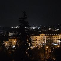 A view over Baden at night, with beautiful city lights being partially covered by the overhead trees.