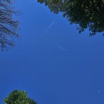 A clear blue Viennese sky, as seen from Volksgarten, showing the edges of trees, a faint image of the moon, and two passing airplanes.