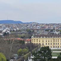 A quiet view above Schonbrünn Gardens.