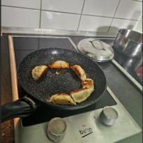 A hot pan with a bit of oil inside with gyozas frying in it, developing a slightly deep golden brown char. 
