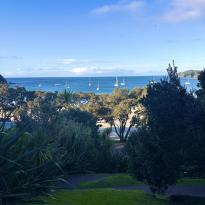 A midday view of Oneroa Beach through trees and with boats in the bay.