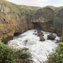 A large and active blowhole