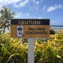 A sign that says falling coconuts