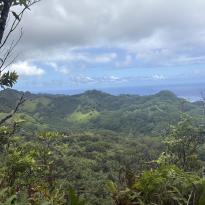 A high-up landscape view of Rarotonga mountains.