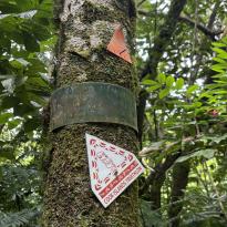 Hike trail markers on a tree.